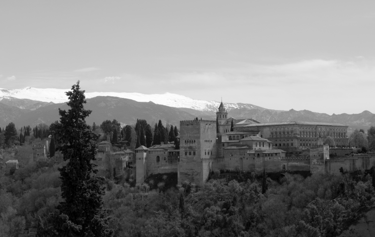 Alhambra_Palace_View_B&W_2
